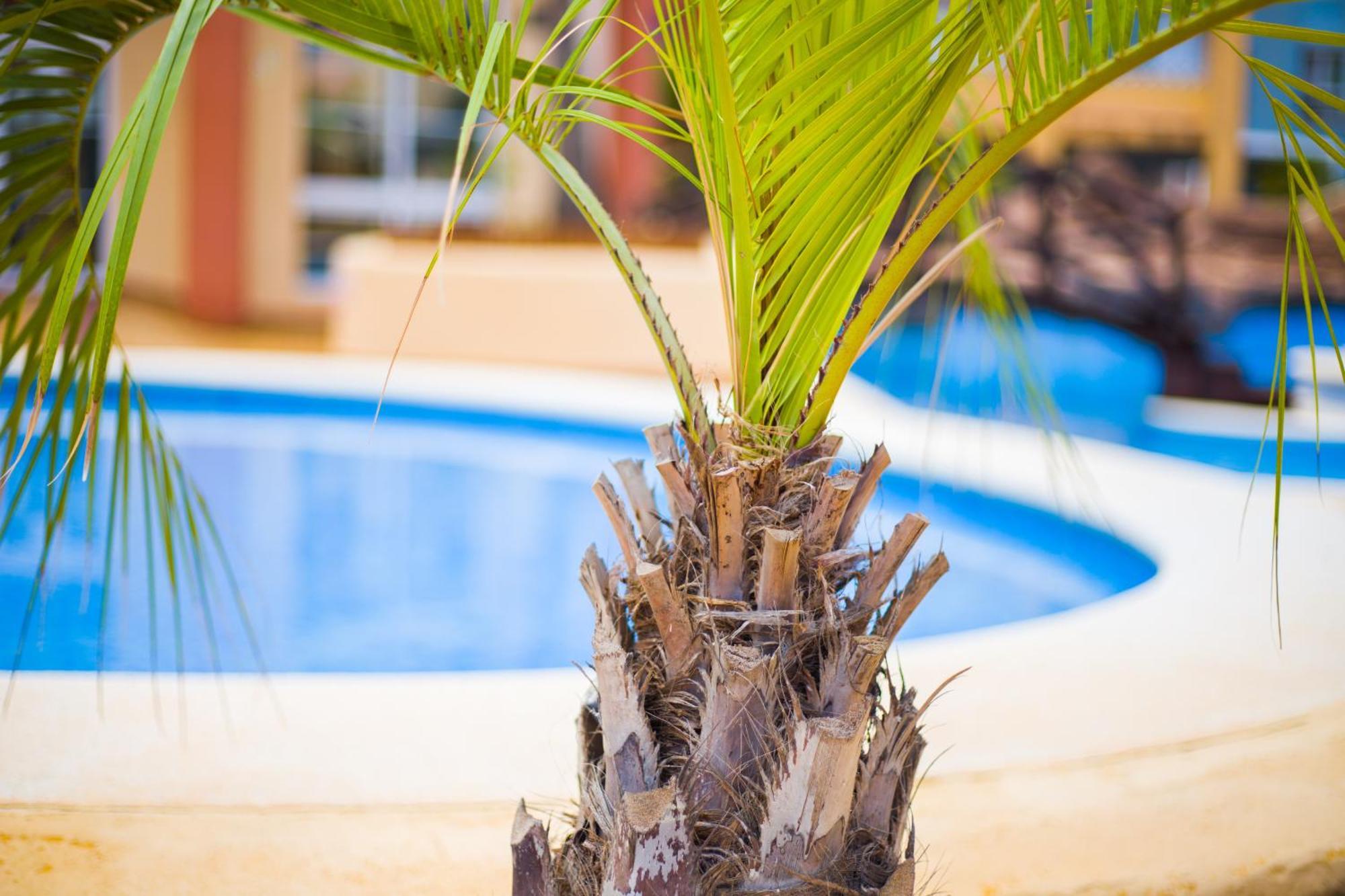 Apartamento Turistico Verdemar 2 La Manga Bagian luar foto